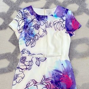 Tobi Spring Dress